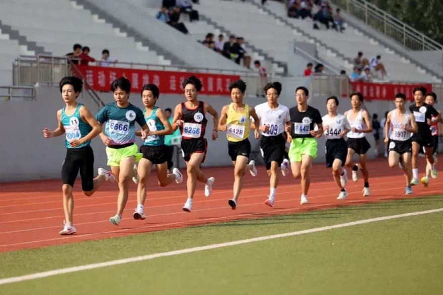 看懂排行榜不迷路：低调看球热度榜单的构成逻辑与阅读指南